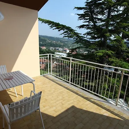 Gala 3*