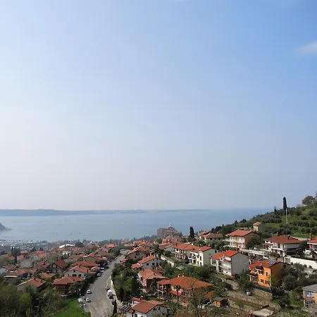 Gala